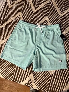Billabong Mint Green Swim Trunks